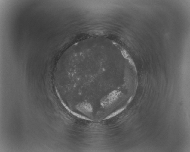 X0000074031297200609181916