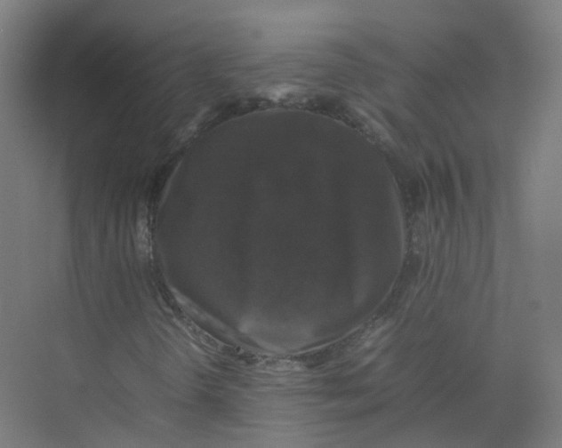 X0000074031298200609181916