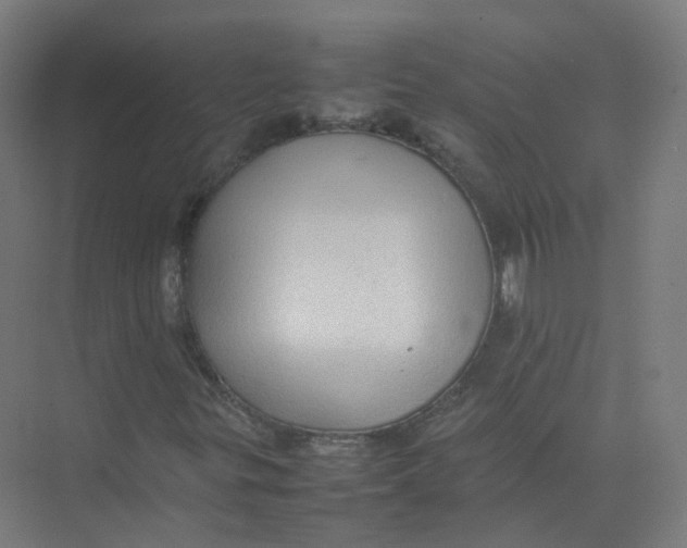 X0000074031299200609181916