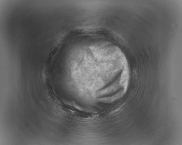 X0000074031300200609181916