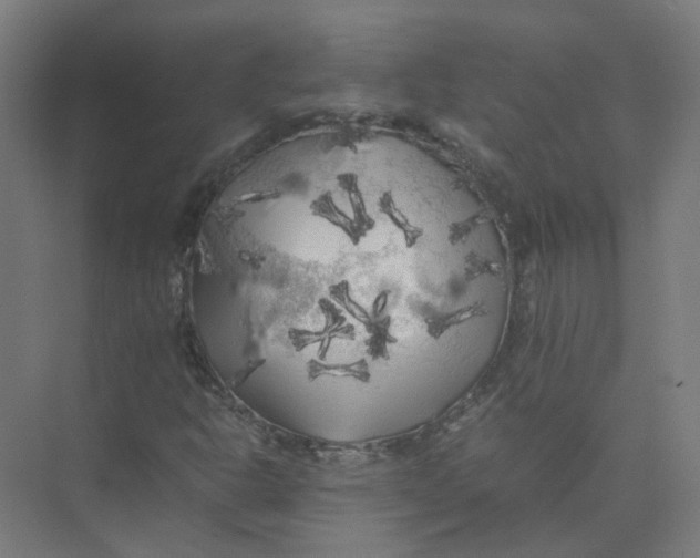 X0000074031302200609181916