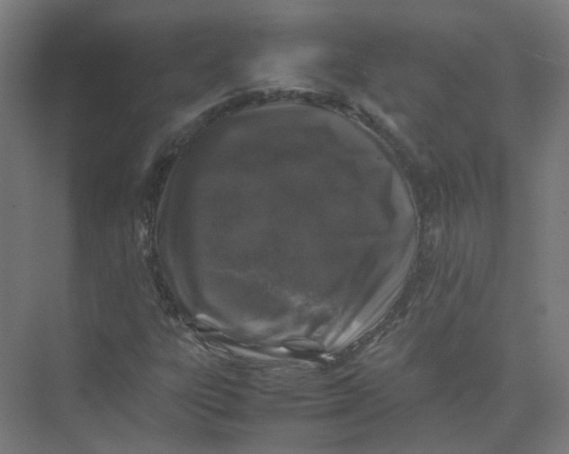 X0000074031303200609181916