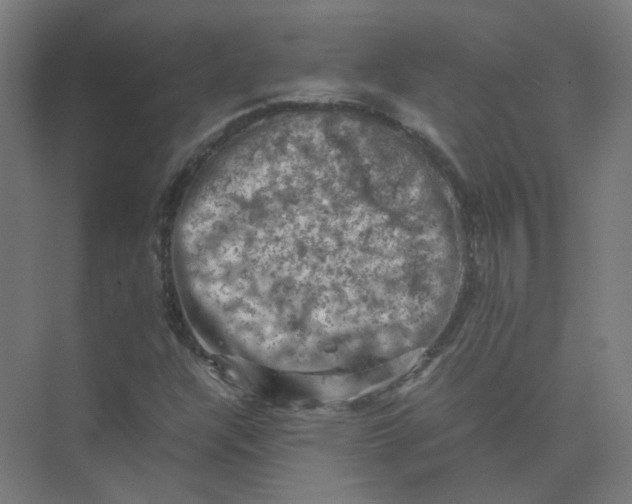 X0000074031304200609181916