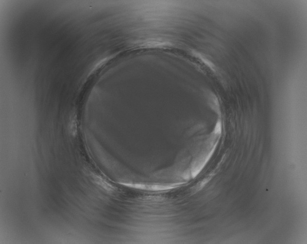 X0000074031306200609181916