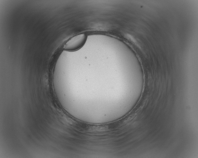 X0000074031307200609181916