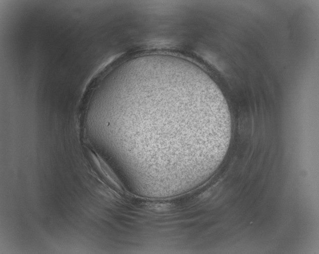 X0000074031309200609181916