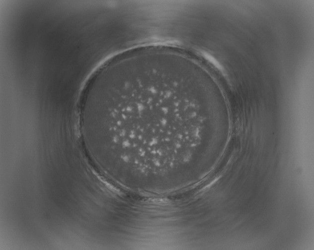 X0000074031310200609181916