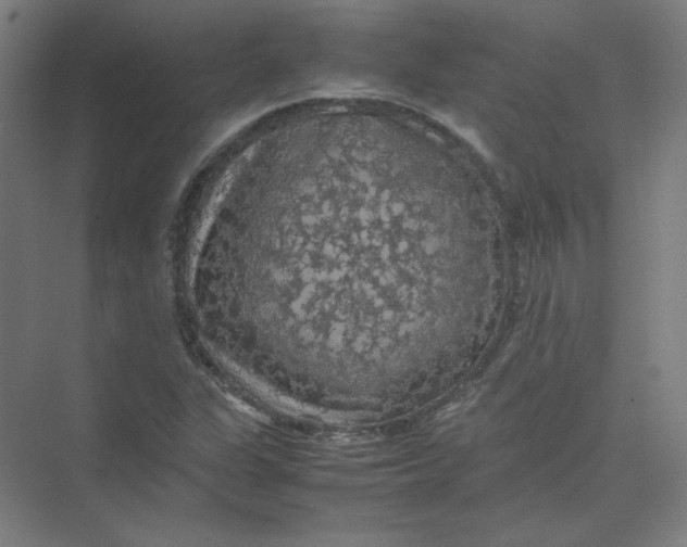 X0000074031311200609181916