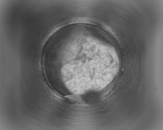 X0000074031312200609181916