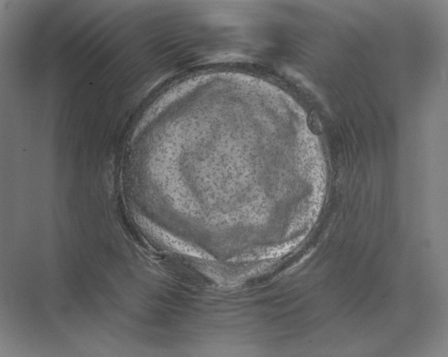 X0000074031313200609181916