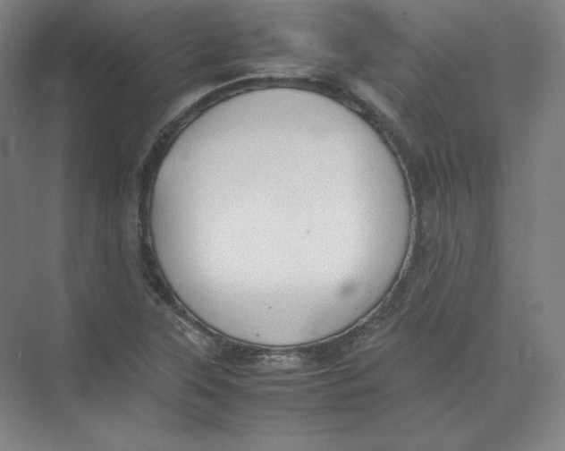 X0000074031315200609181916