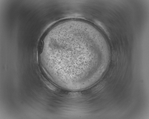 X0000074031320200609181916