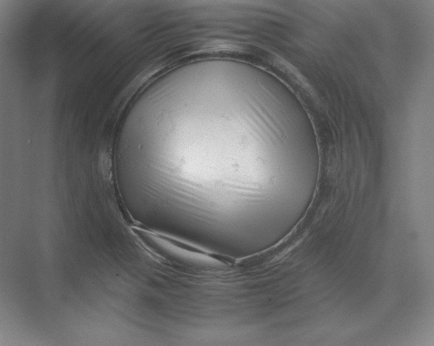 X0000074031321200609181916