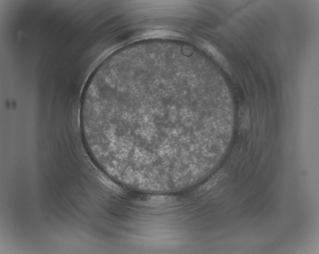 X0000074031322200609181916