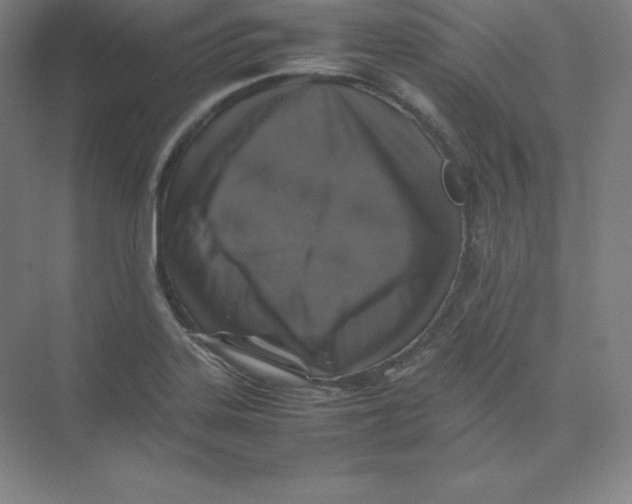 X0000074031323200609181916