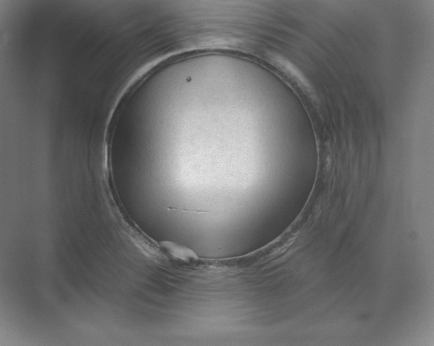 X0000074031324200609181916