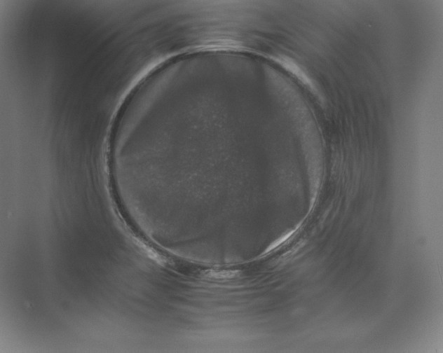 X0000074031325200609181916