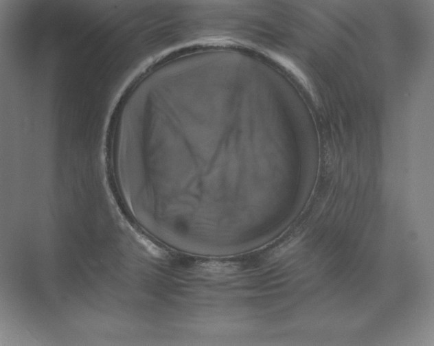 X0000074031327200609181916