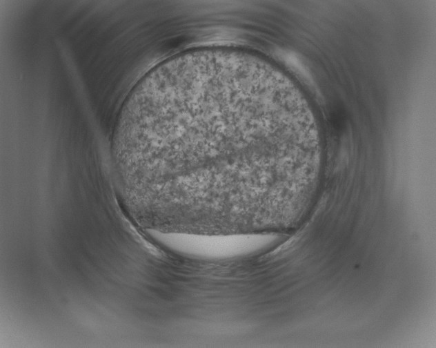 X0000074031329200609181916