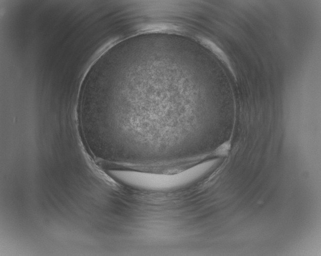 X0000074031330200609181916