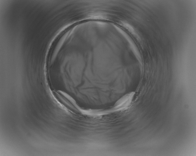 X0000074031331200609181916