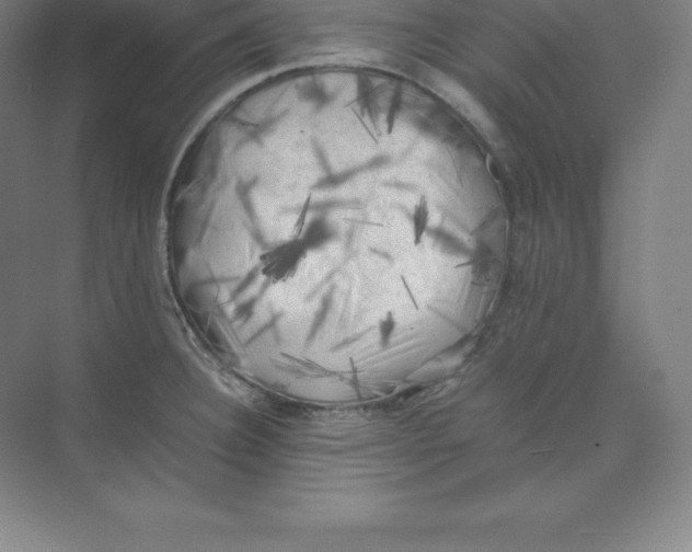 X0000074031332200609181917