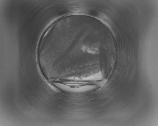 X0000074031333200609181917