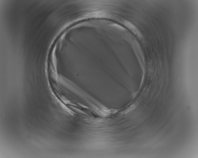 X0000074031334200609181917