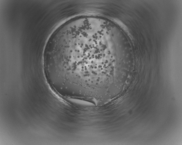 X0000074031335200609181917