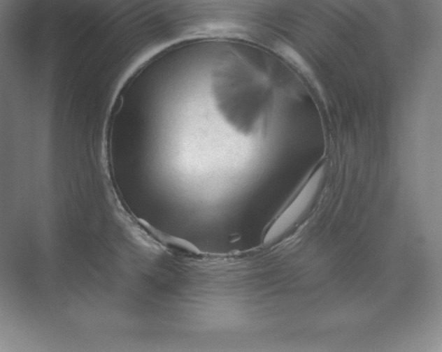 X0000074031336200609181917