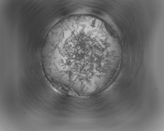 X0000074031337200609181917