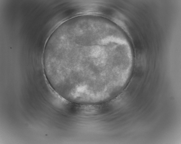 X0000074031338200609181917