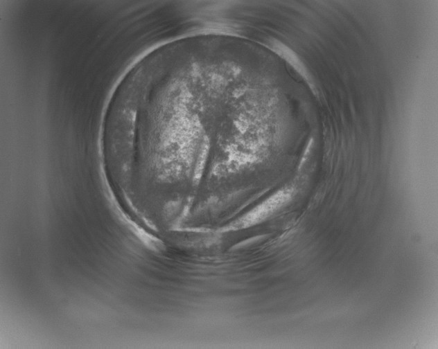 X0000074031339200609181917