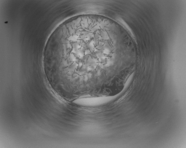 X0000074031340200609181917