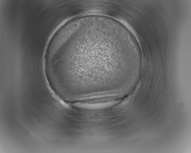 X0000074031341200609181917