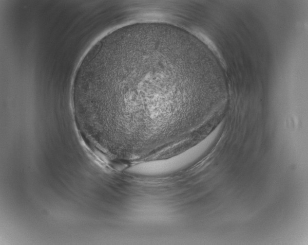 X0000074031342200609181917