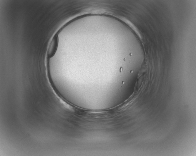 X0000074031343200609181917