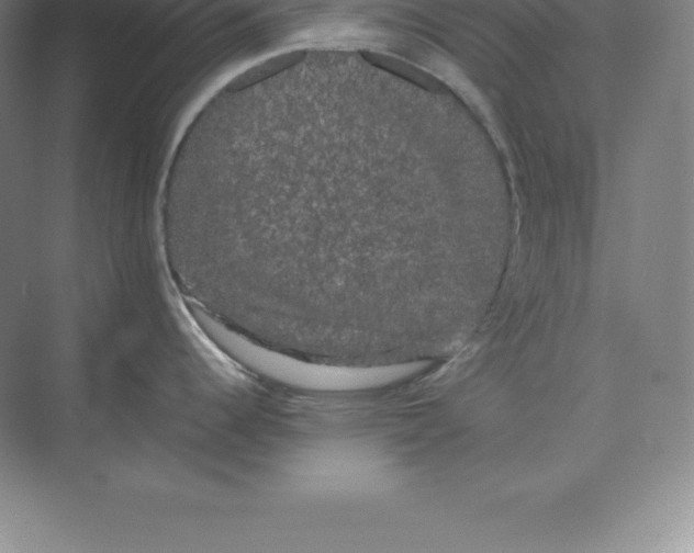 X0000074031344200609181917