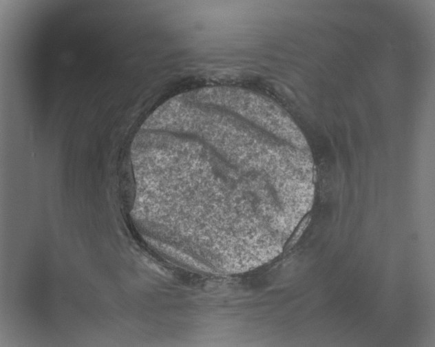 X0000074031345200609181916