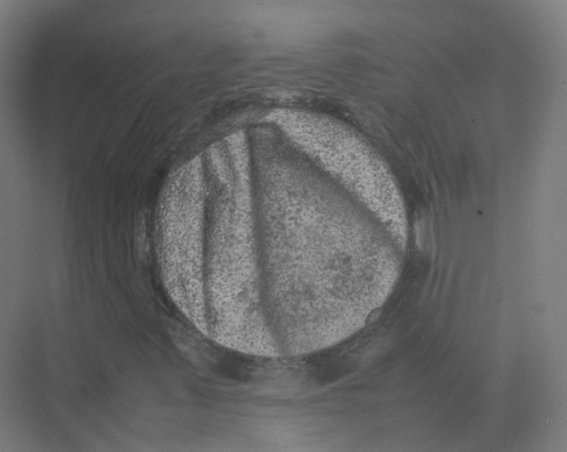 X0000074031347200609181916