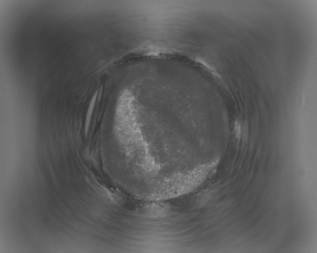 X0000074031348200609181916