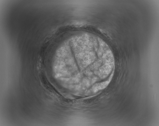 X0000074031349200609181916