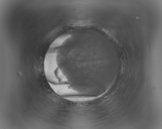 X0000074031350200609181916