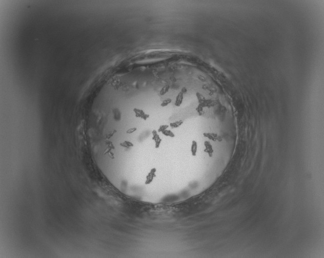 X0000074031351200609181916