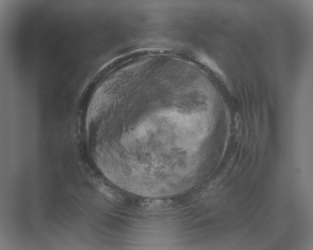 X0000074031352200609181916