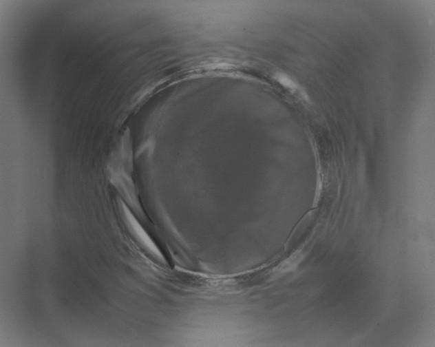 X0000074031353200609181916