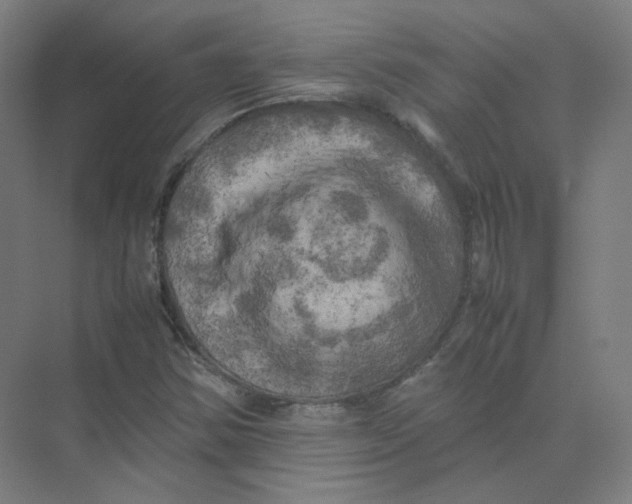 X0000074031354200609181916