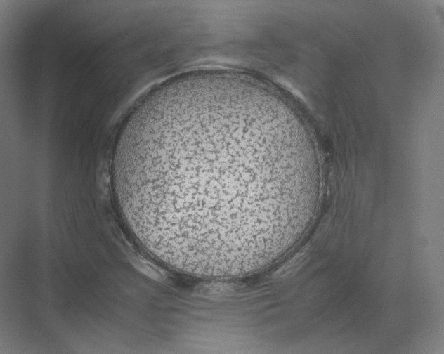 X0000074031355200609181916