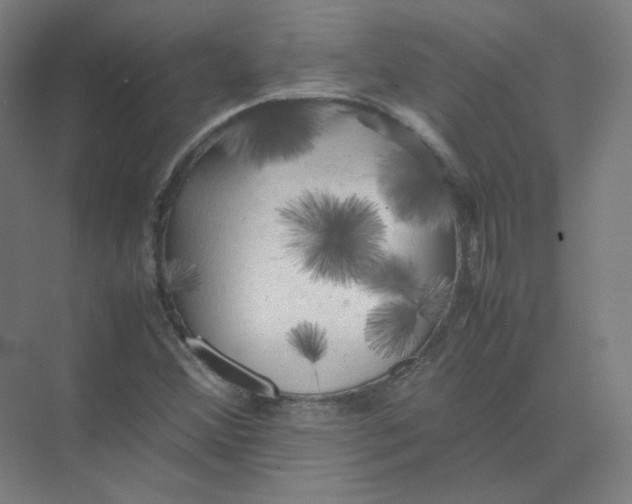 X0000074031356200609181916