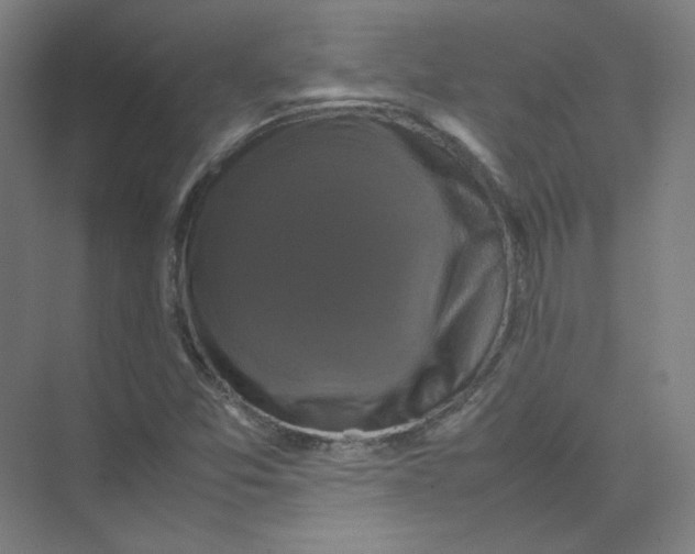 X0000074031357200609181916